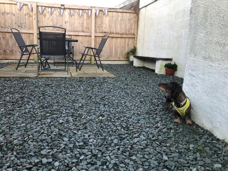 קוקרמאות' Barncroft: Dogs Welcome, Dog Care Services Offered מראה חיצוני תמונה