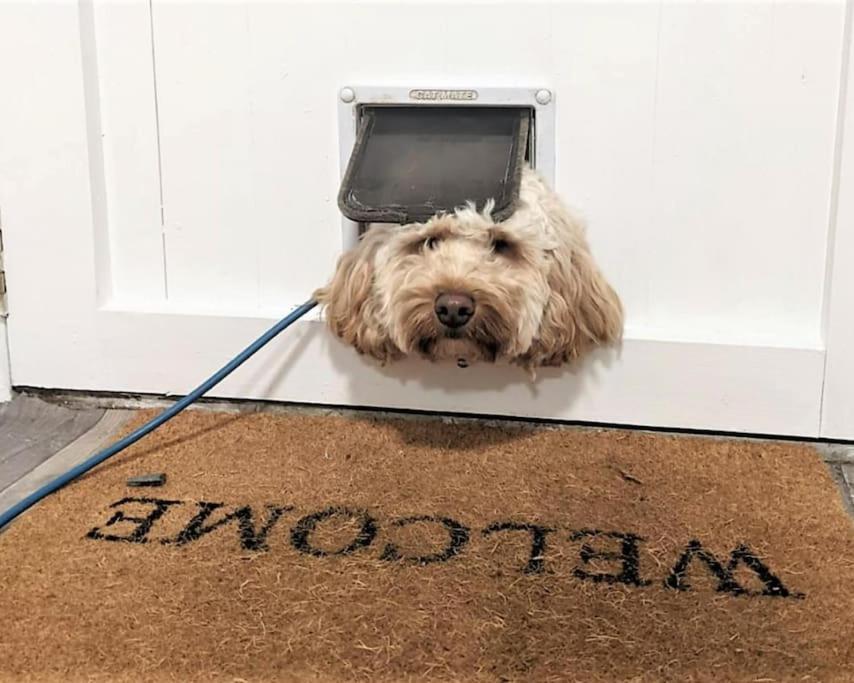 קוקרמאות' Barncroft: Dogs Welcome, Dog Care Services Offered מראה חיצוני תמונה